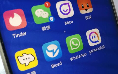 社交出海生存實錄：誰在“死磕到底”，誰在“悶聲發(fā)財”