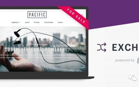 花一百萬(wàn)購(gòu)買一個(gè)Shopify獨(dú)立站是一種什么體驗(yàn)？