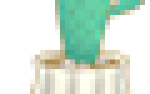 Prime Day眾生相盤(pán)點(diǎn)，大賣的狂歡，小賣的悲慘？