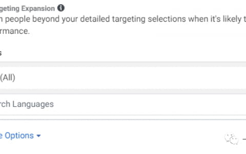 美元哥：單站日銷800件，一款冬季爆款單品運(yùn)營分析（福利：文末美元哥送的建站教程和插件）
