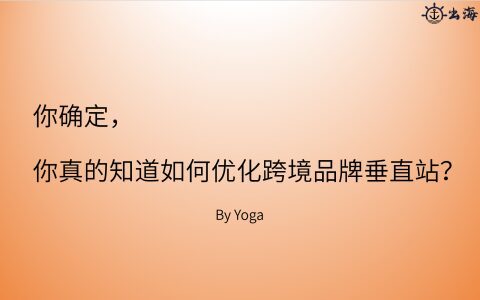 如何優化跨境品牌垂直站提高轉化率丨操盤手面對面25期精華