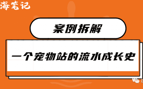 一個寵物站的細水長流史