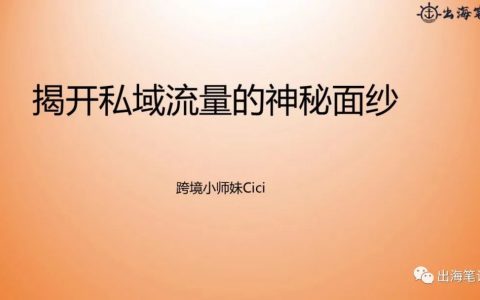 揭開私域流量的神秘面紗丨出海筆記操盤手面對(duì)面精華