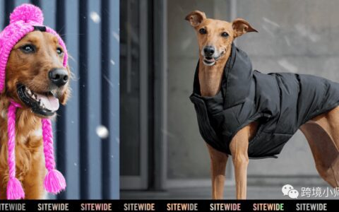 憑什么它是逆勢(shì)增長(zhǎng)的寵物服飾站
