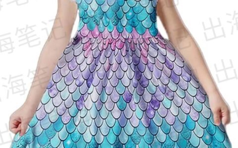 獨立站新手選品入門（一萬字干貨）丨出海筆記精編版2023-11