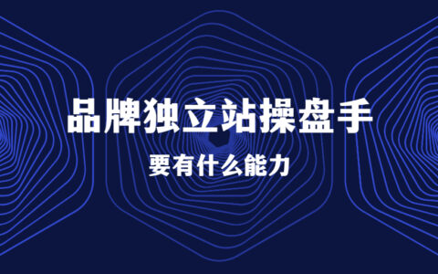 如何辨別一個(gè)品牌獨(dú)立站操盤手的能力